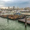 Pier 39