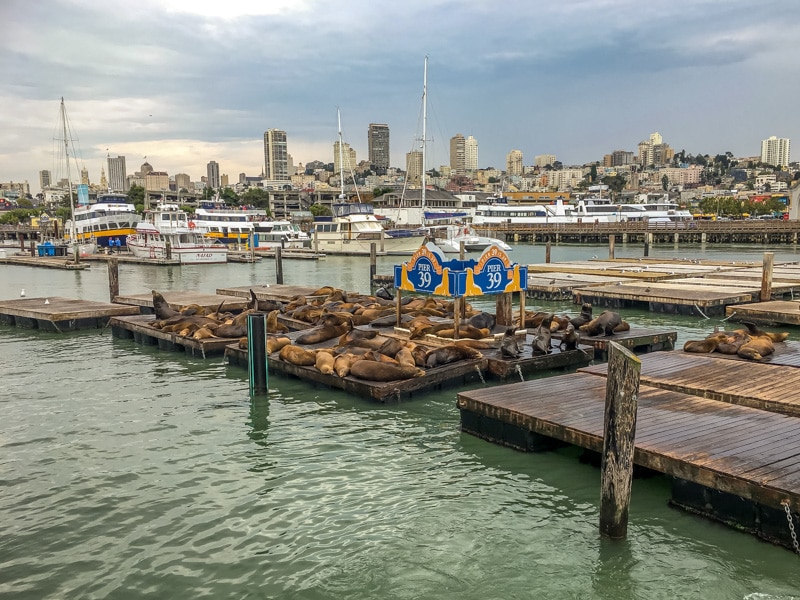 Pier 39